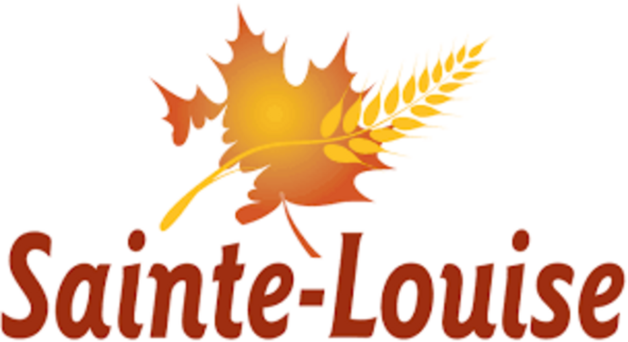 Obligation de mise hors service d’immobilisations (norme SP-3280) pour la municipalité de Sainte-Louise