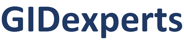 GID Experts logo